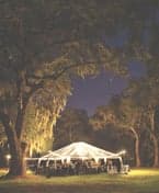 KDV De Tuinfluiters 2