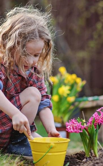 KDV De Tuinfluiters 3