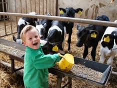 Het Hazendonkje Schelluinen 2