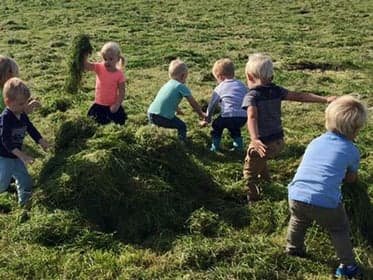 Het Hazendonkje Schelluinen 3