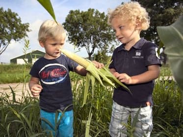 Het Hazendonkje Schelluinen foto 5