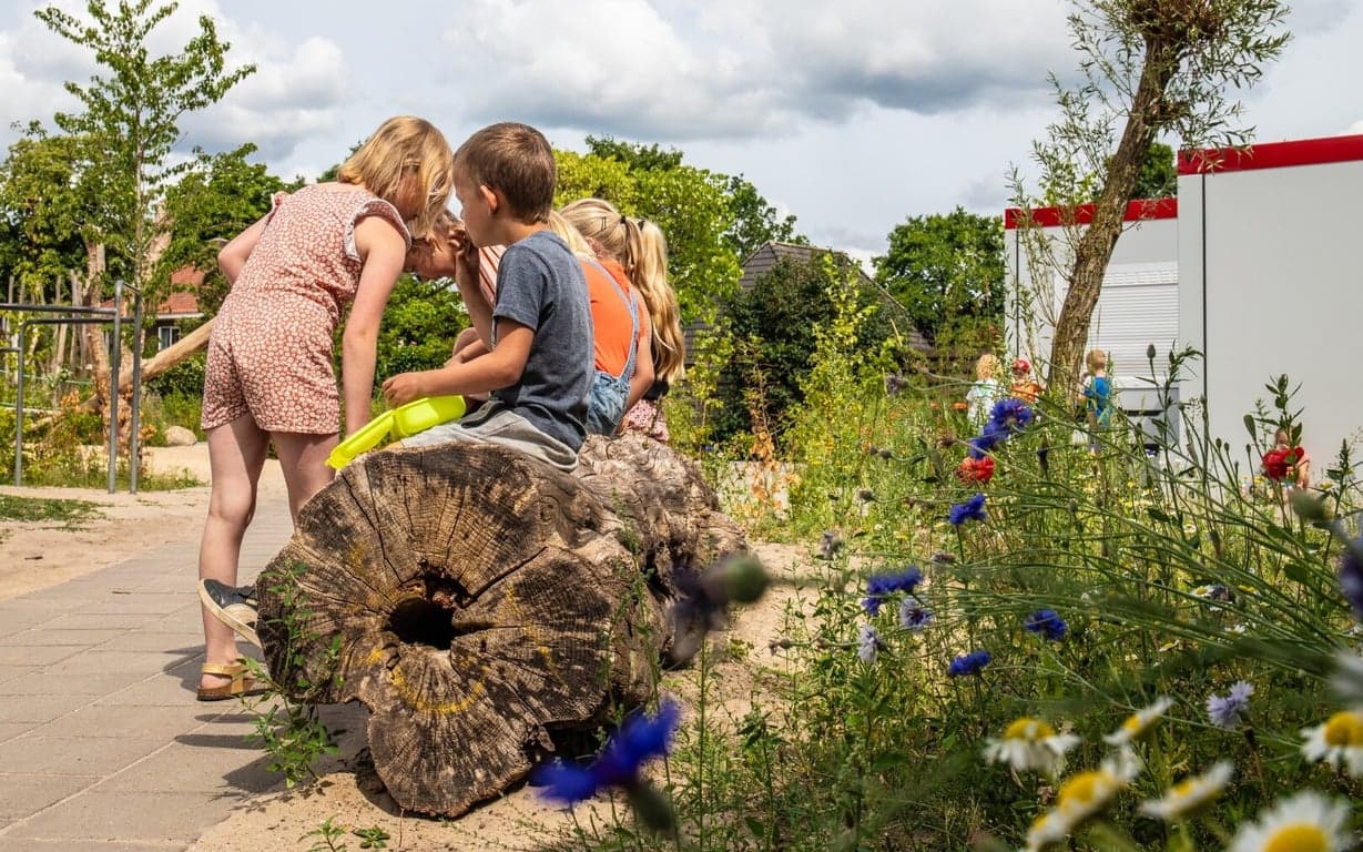 BSO Sprankel! foto 6