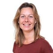 de Pluizebol foto 10