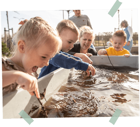 Marlynepolder foto 9