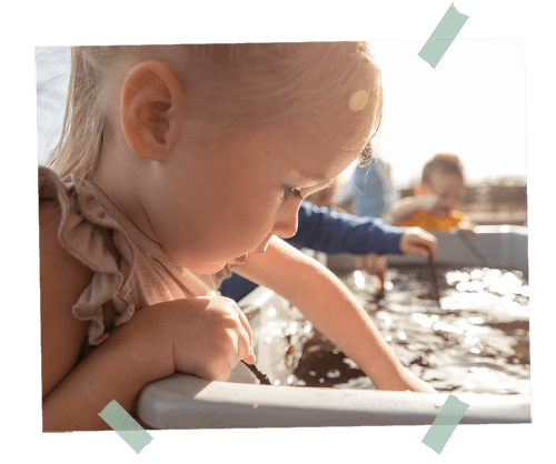 Marlynepolder foto 10