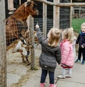 Kids Lodge Hefbrug Houten foto 7