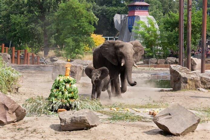 Peuteropvang De Olifant foto 7