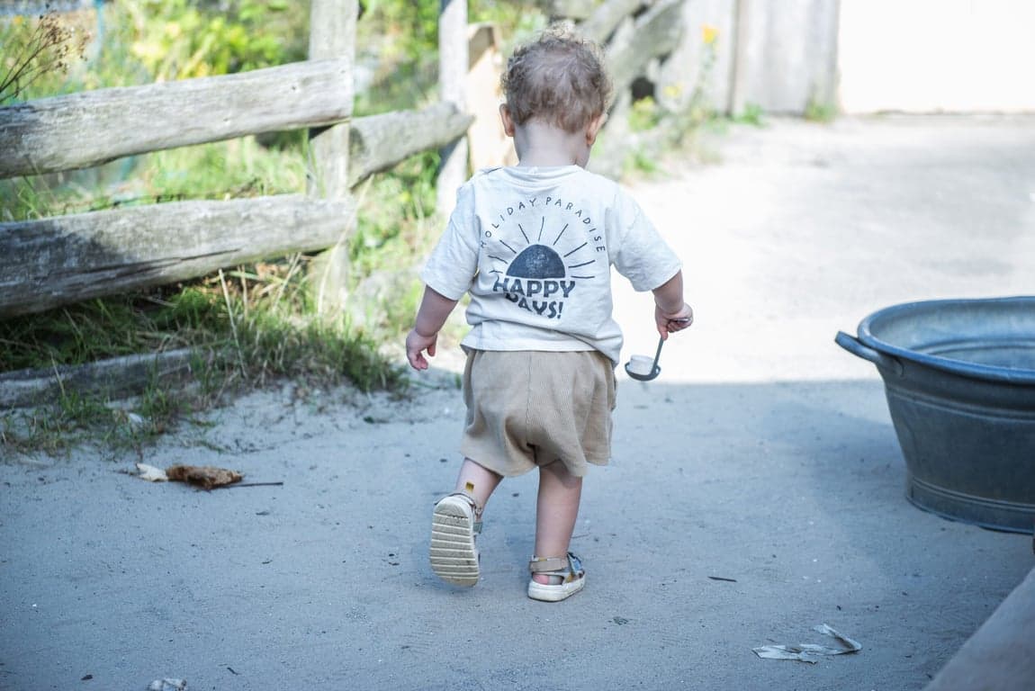 BSO Kindcentrum De Magische Boom foto 5