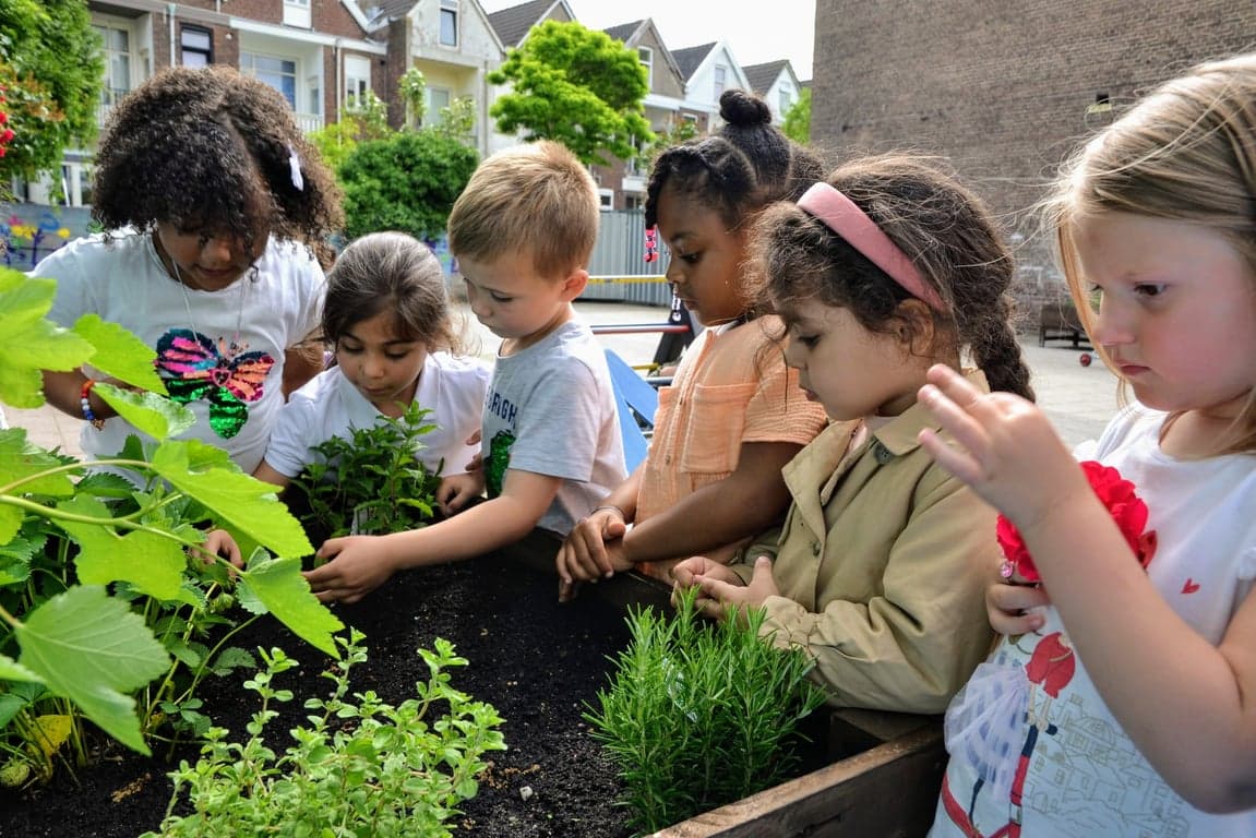 Het Kleine Klavertje 3