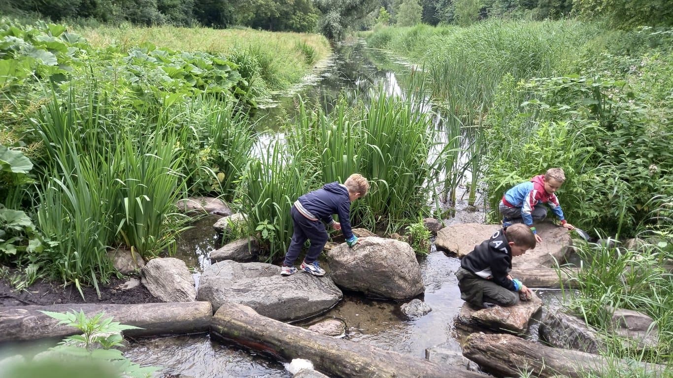 BSO Mr. van Eijck foto 8