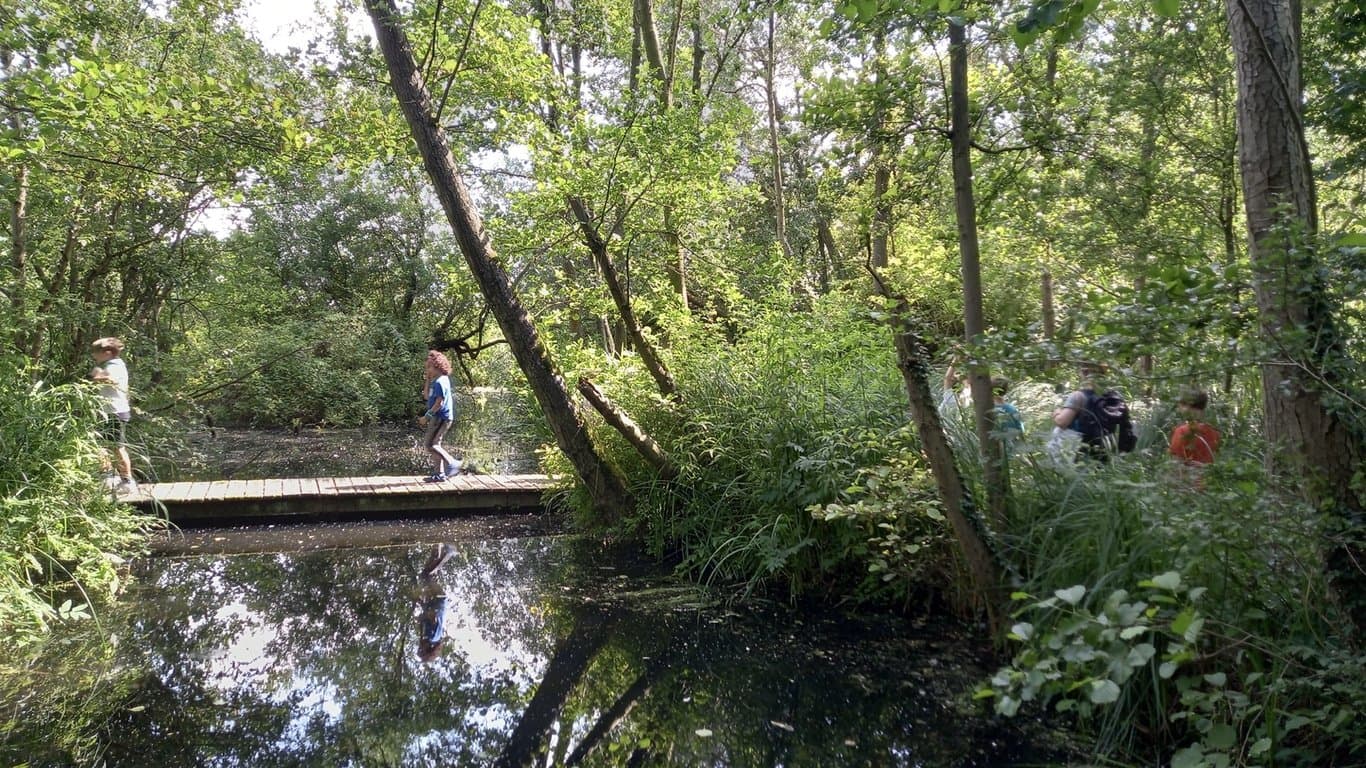 BSO Mr. van Eijck foto 9