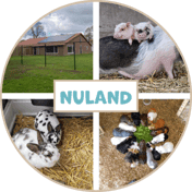 Het Beertje op de Boerderij