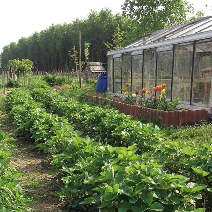 Het Beertje op de Boerderij foto 6