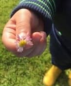 De Bosbengels foto 4