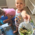 de Tuimelaars foto 9