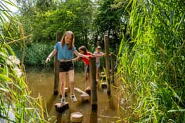 Thema BSO het Avontuur