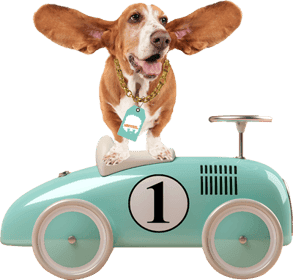 BSO De Uitkijk foto 5