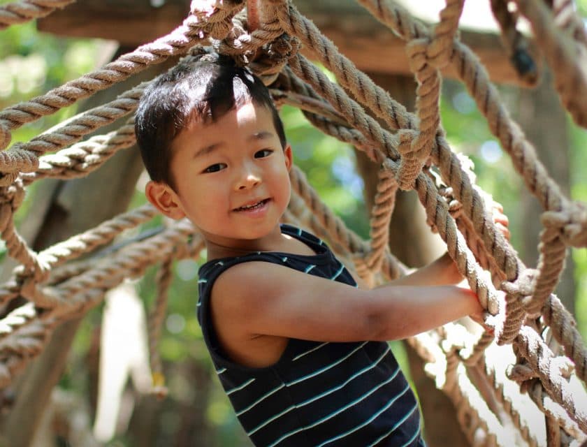 Kiddoozz Peuteropvang De Kleine Pijler