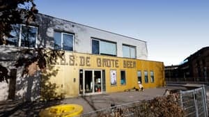 Grote Beer