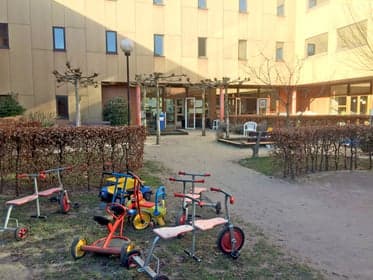 De Kleine Reus foto 4