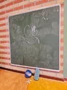 BSO De Leeuwen foto 6