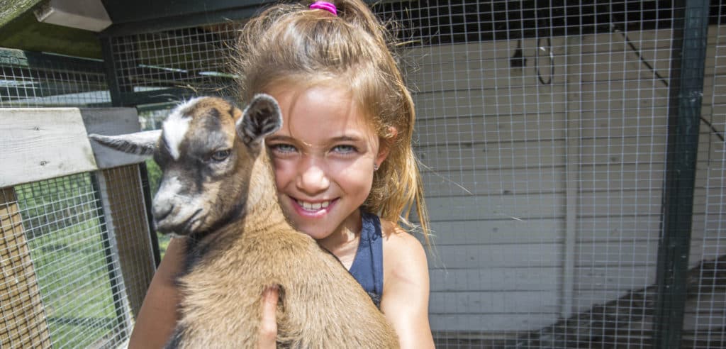 KDV de Hoeve foto 10