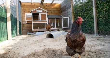 Kinderopvang Bloesem Haaksbergen foto 7