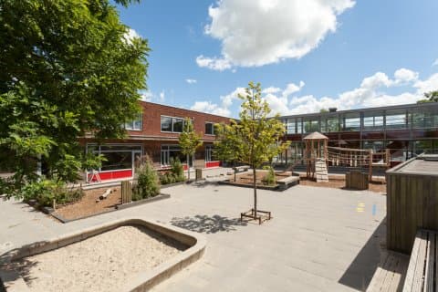 SkippyPepijn KDV Wallaroe