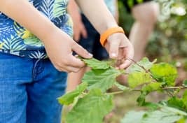 Vandaag BSO Hallum foto 7