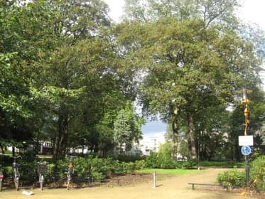 Bilderdijkpark foto 5