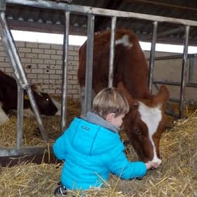 Kinderdagverblijf Wilton's Hof