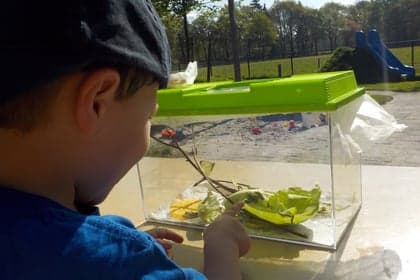 Kinderdagverblijf Wilton's Hof 2