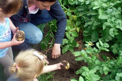 Kinderdagverblijf Wilton's Hof 3