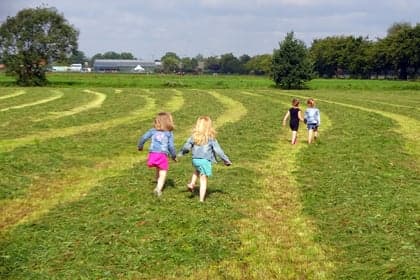 Kinderdagverblijf Wilton's Hof foto 4