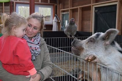 Kinderopvang 't Hummelhus foto 4