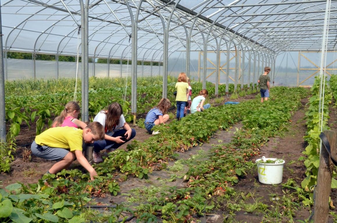 Kinderopvang 't Hummelhus foto 5