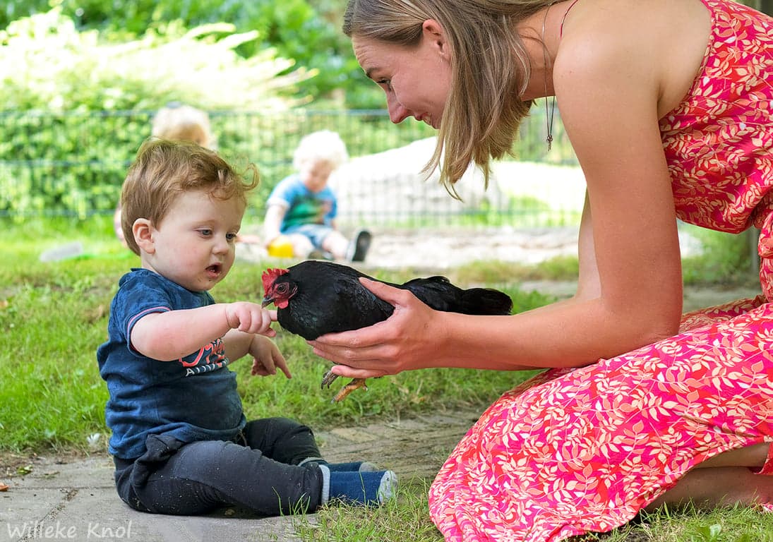 Kinderopvang 't Hummelhus foto 10