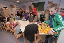 BSO Het Kwartelnest 3