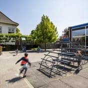 BSO De Fruitboom foto 7