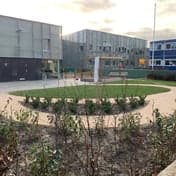 Kinderdagverblijf De Boomhut foto 5