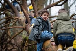 Bazenbos Bladel foto 6