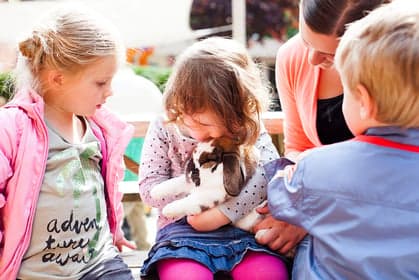 KDV de Kikkerkoning foto 4