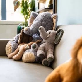 Stip & Stap Kinderdagverblijf foto 6