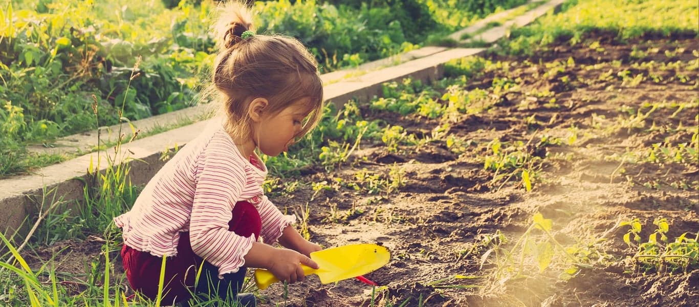 LOC De Bonte Boomhut 3