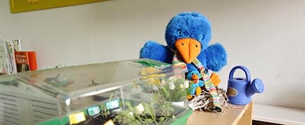 Kinderopvang Madelief foto 6