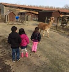 Kindercentrum De Kleine Tuin foto 8