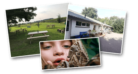 BSO Natureluur De Vlindertuin foto 5