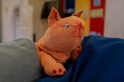 Mamasthee staat klaar/OBS De Oleander foto 9