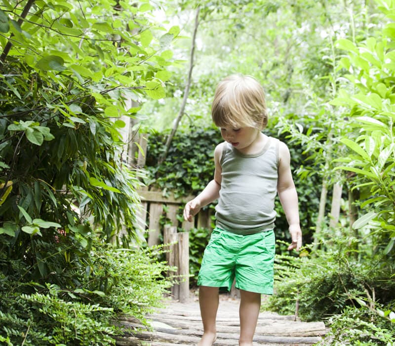 BSO De Bolster foto 4