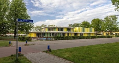 Viela Vlinder foto 4